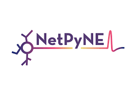 NetPyNe